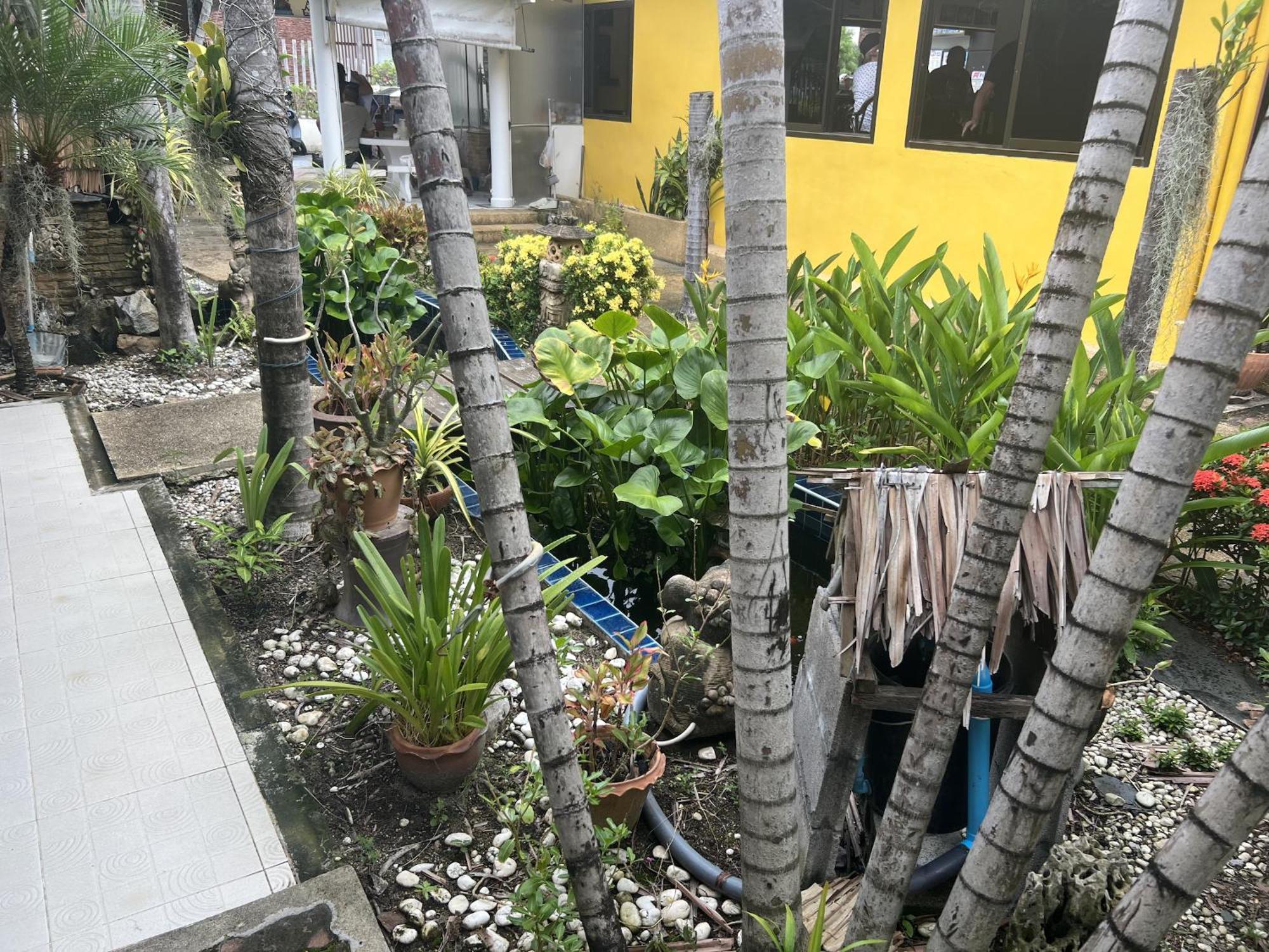 Baan Orchid Guesthouse Patong Экстерьер фото